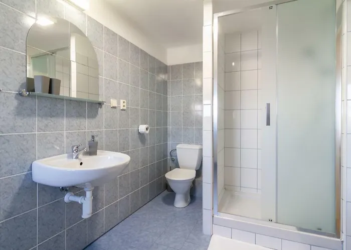 U Nemocnice 捷克布杰约维采