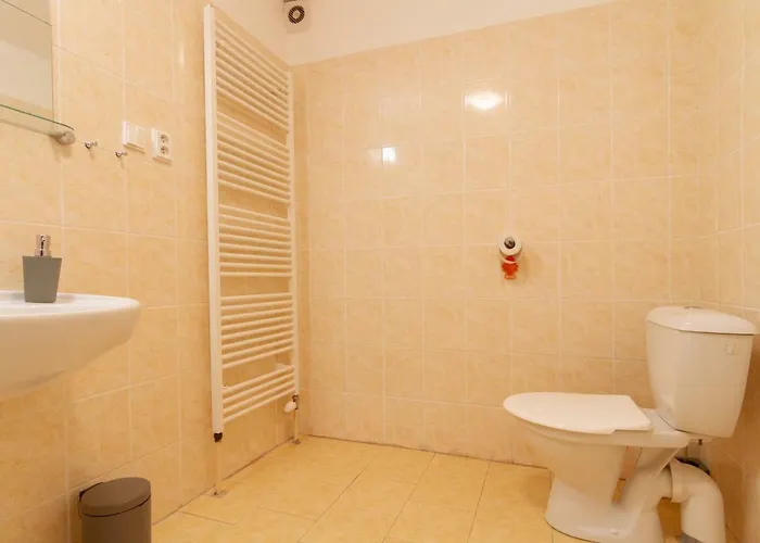 U Nemocnice 捷克布杰约维采