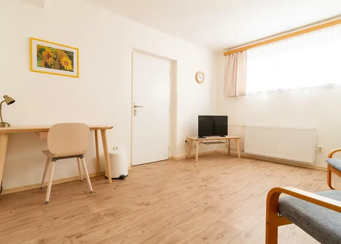 公寓 U Nemocnice *